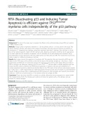 RITA (Reactivating p53 and Inducing Tumor Apoptosis) is efficient against TP53 abnormal myeloma cells independently of the p53 pathway