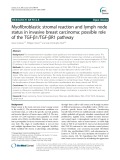 Myofibroblastic stromal reaction and lymph node status in invasive breast carcinoma: Possible role of the TGF-β1/TGF-βR1 pathway