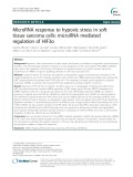 MicroRNA response to hypoxic stress in soft tissue sarcoma cells: MicroRNA mediated regulation of HIF3α