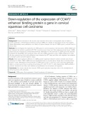 Down-regulation of the expression of CCAAT/ enhancer binding protein α gene in cervical squamous cell carcinoma