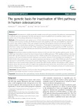 The genetic basis for inactivation of Wnt pathway in human osteosarcoma
