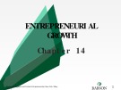 Lecture Entrepreneurship: Chapter 14 - Zacharakis, Bygrave, Corbett
