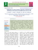 Identification of various chemical compounds in methanolic and chloroform crude extracts of groundnut seed coat by GC-MS