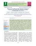 Effect of age of seedling and split application of nitrogen on productive tiller and stem borer incidence in machine transplanted rice (Oryza sativa L.)