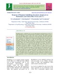 Response of phosphate solubilising inoculants (Jumpstart) on biochemistry and yield of rice (Oryza sativa L.)