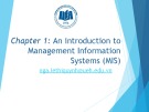 Lesson An introduction to management information systems (MIS)