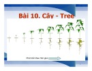 Bài giảng Cấu trúc dữ liệu và giải thuật trong C++ - Bài 10: Cây (Tree)