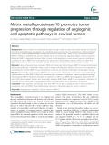 Matrix metalloproteinase-10 promotes tumor progression through regulation of angiogenic and apoptotic pathways in cervical tumors
