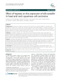 Effect of hypoxia on the expression of αB-crystallin in head and neck squamous cell carcinoma