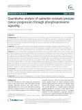 Quantitative analysis of castration resistant prostate cancer progression through phosphoproteome signaling