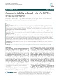 Genome instability in blood cells of a BRCA1+ breast cancer family