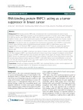 RNA-binding protein RNPC1: Acting as a tumor suppressor in breast cancer