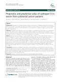 Prognostic and predictive value of cathepsin X in serum from colorectal cancer patients