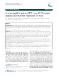Human papillomavirus (HPV) type 16 E7 protein bodies cause tumour regression in mice