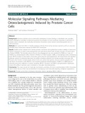 Molecular signaling pathways mediating osteoclastogenesis induced by prostate cancer cells