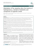 Modulation of Ras signaling alters the toxicity of hydroquinone, a benzene metabolite and component of cigarette smoke
