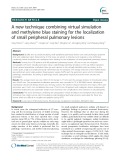 A new technique combining virtual simulation and methylene blue staining for the localization of small peripheral pulmonary lesions
