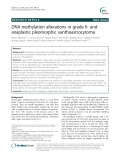 DNA methylation alterations in grade II- and anaplastic pleomorphic xanthoastrocytoma