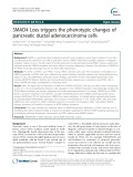 SMAD4 Loss triggers the phenotypic changes of pancreatic ductal adenocarcinoma cells