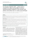 Ion Prostate Irradiation (IPI) – a pilot study to establish the safety and feasibility of primary hypofractionated irradiation of the prostate with protons and carbon ions in a raster scan technique