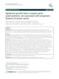 Epidermal growth factor receptor gene polymorphisms are associated with prognostic features of breast cancer