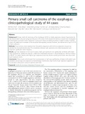 Primary small cell carcinoma of the esophagus: Clinicopathological study of 44 cases
