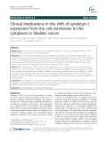 Clinical implications in the shift of syndecan-1 expression from the cell membrane to the cytoplasm in bladder cancer