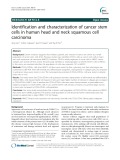 Identification and characterization of cancer stem cells in human head and neck squamous cell carcinoma
