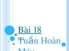 Bài thuyết trình Sinh học 11 - Bài 18: Tuần hoàn máu