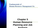 Lecture Fundamentals of human resource management (11th Edition): Chapter 5 - DeCenzo, Robbins, Verhulst