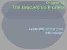 Lecture Organizational behavior - Chapter 13: Power and politics