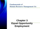 Lecture Fundamentals of human resource management (11th Edition): Chapter 3 - DeCenzo, Robbins, Verhulst