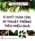 Kỹ thuật trồng tiêu hiệu quả: Phần 2