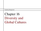 Lecture Exploring management - Chapter 16: Diversity and global cultures