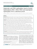 Expression and DNA methylation levels of prolyl hydroxylases PHD1, PHD2, PHD3 and asparaginyl hydroxylase FIH in colorectal cancer