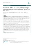 A synthetic dsRNA, as a TLR3 pathwaysynergist, combined with sorafenib suppresses HCC in vitro and in vivo