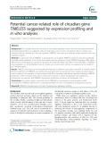 Potential cancer-related role of circadian gene TIMELESS suggested by expression profiling and in vitro analyses