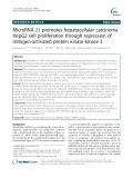 MicroRNA-21 promotes hepatocellular carcinoma HepG2 cell proliferation through repression of mitogen-activated protein kinase-kinase 3
