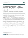 Phosphatidylinositol 3-Kinase dependent upregulation of the epidermal growth factor receptor upon Flotillin-1 depletion in breast cancer cells