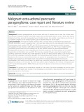 Malignant extra-adrenal pancreatic paraganglioma: Case report and literature review