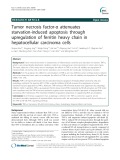 Tumor necrosis factor-α attenuates starvation-induced apoptosis through upregulation of ferritin heavy chain in hepatocellular carcinoma cells