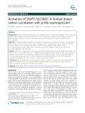 Activation of SNAT1/SLC38A1 in human breast cancer: Correlation with p-Akt overexpression