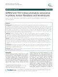 SORBS2 and TLR3 induce premature senescence in primary human fibroblasts and keratinocytes