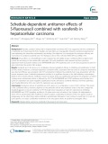 Schedule-dependent antitumor effects of 5-fluorouracil combined with sorafenib in hepatocellular carcinoma