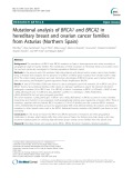 Mutational analysis of BRCA1 and BRCA2 in hereditary breast and ovarian cancer families from Asturias (Northern Spain)