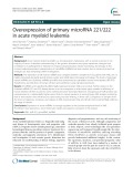 Overexpression of primary microRNA 221/222 in acute myeloid leukemia