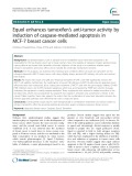 Equol enhances tamoxifen’s anti-tumor activity by induction of caspase-mediated apoptosis in MCF-7 breast cancer cells