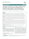 Evaluation of hypoxia in a feline model of head and neck cancer using 64Cu-ATSM positron emission tomography/computed tomography