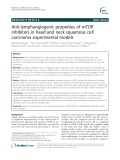Anti-lymphangiogenic properties of mTOR inhibitors in head and neck squamous cell carcinoma experimental models