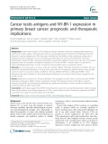 Cancer testis antigens and NY-BR-1 expression in primary breast cancer: Prognostic and therapeutic implications